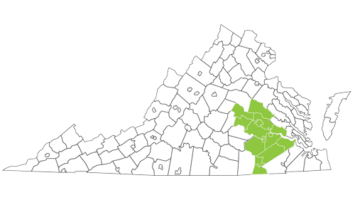 Virginia Map with Ready Region 4 Highlighted - Central